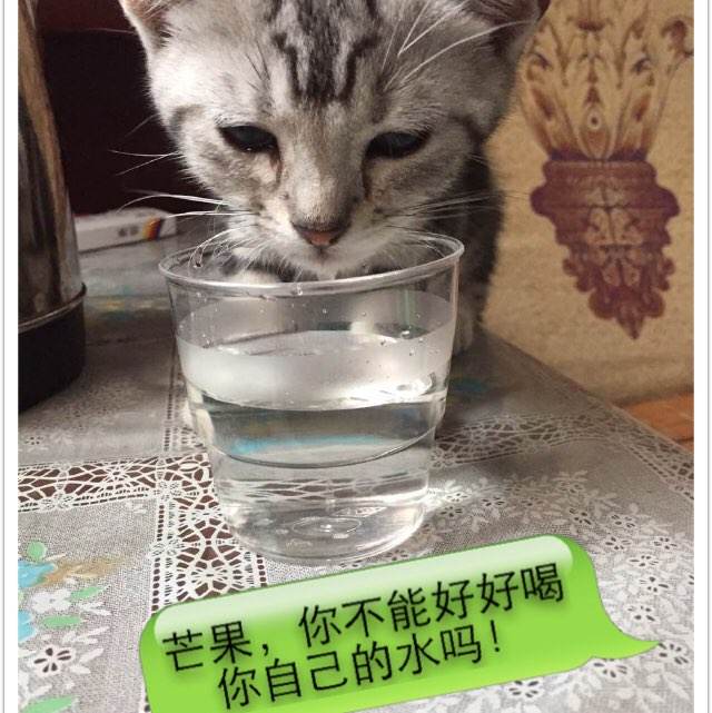 制作巴恩斯犹太学院戈德法布护理学校文凭毕业证